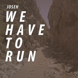 Album cover of We Have to Run
