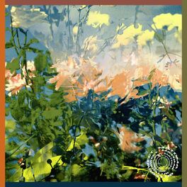 Album cover of Bittersweet