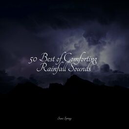Album cover of 50 Best of Comforting Rainfall Sounds