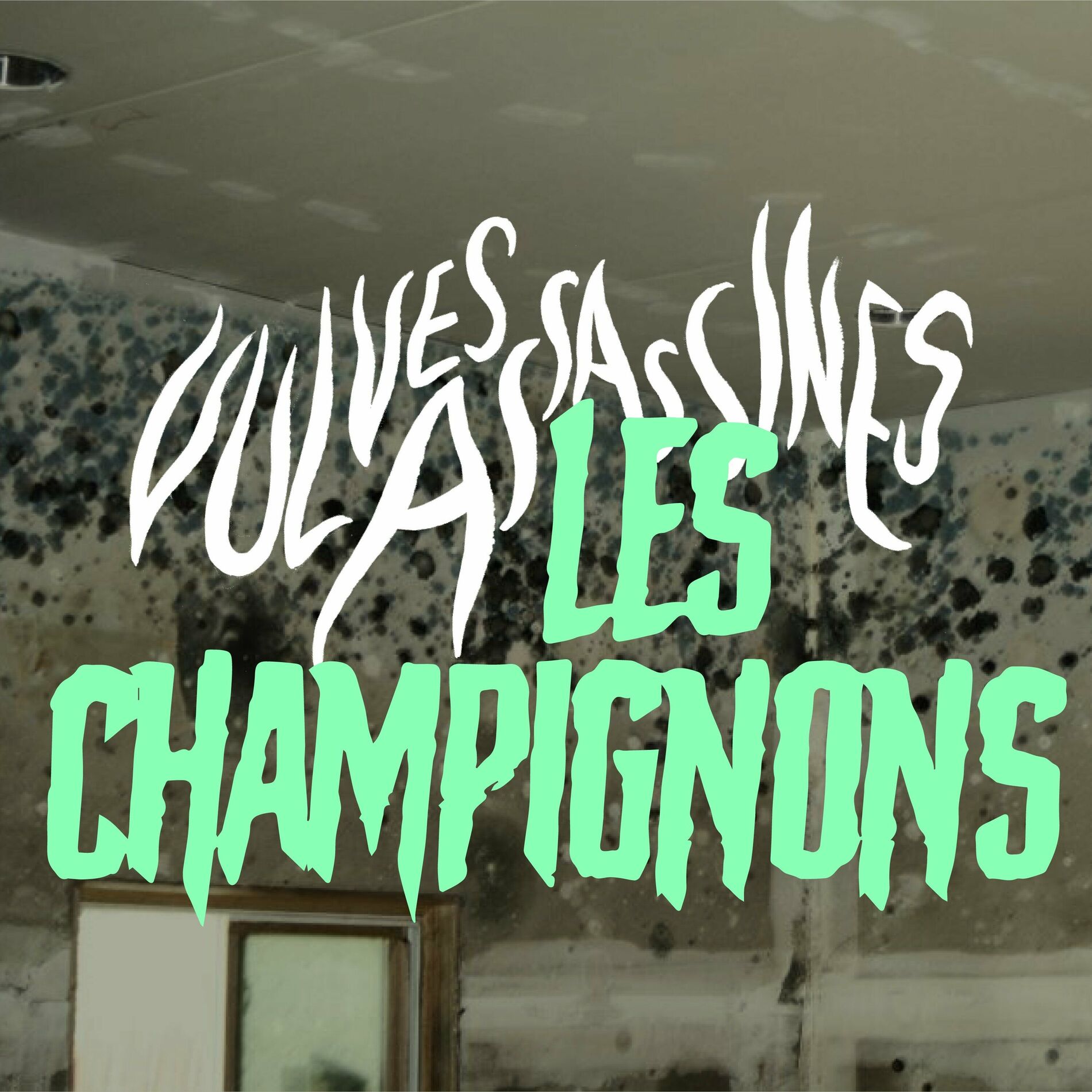 Les Vulves Assassines (новый альбом) - Les champignons: тексты и песни |  Deezer