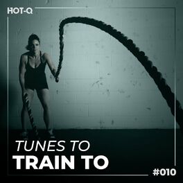 Album cover of Tunes To Train To 010