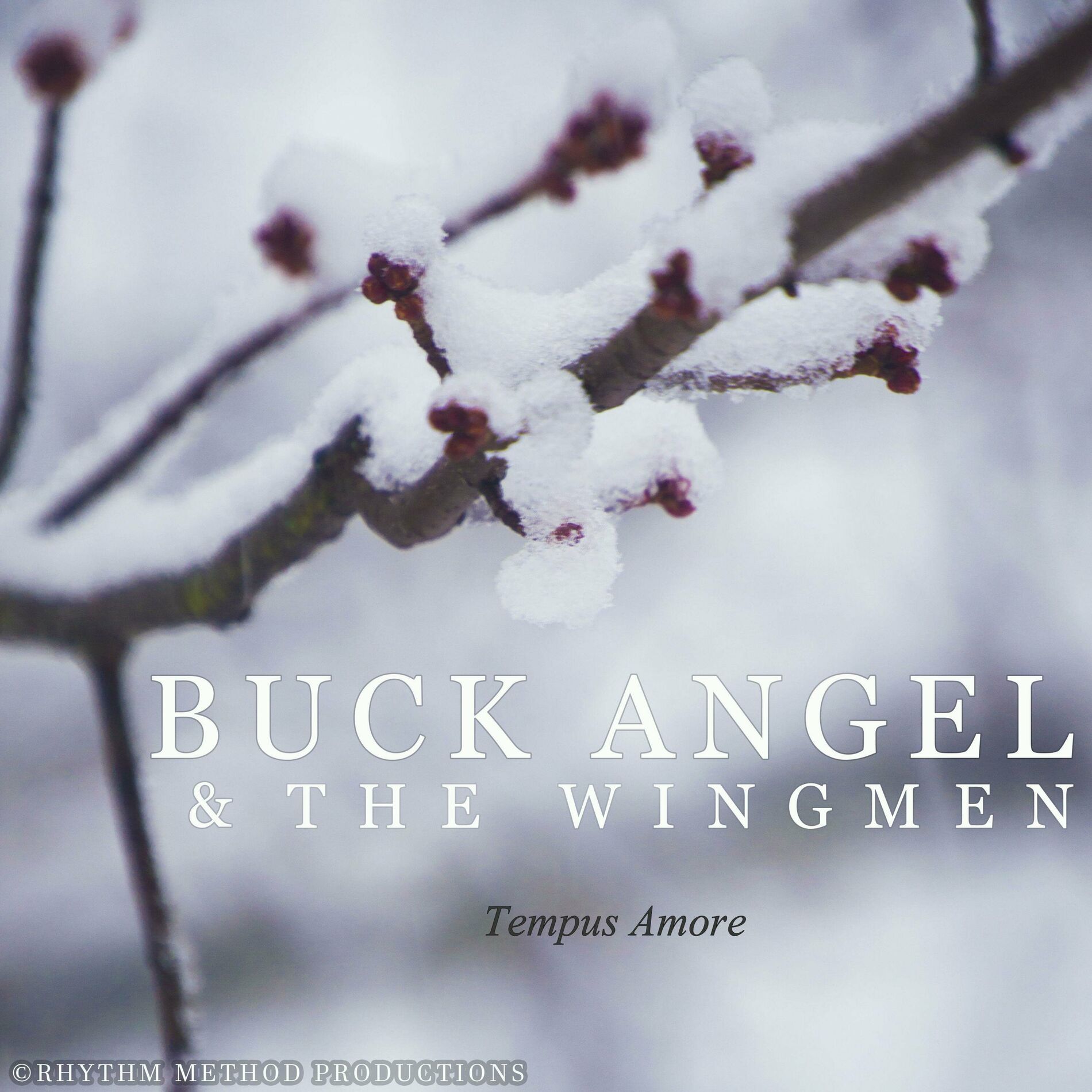 Buck Angel and the Wingmen: albums, songs, playlists | Listen on Deezer