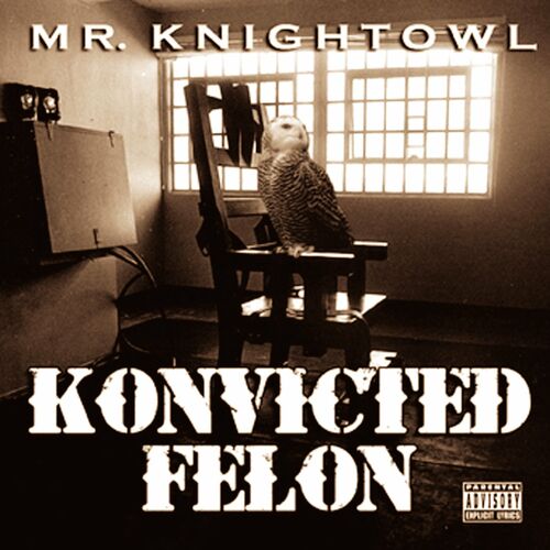 mr-knightowl-konvicted-felon-lyrics-and-songs-deezer