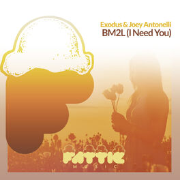 Album cover of BM2L (I Need You)