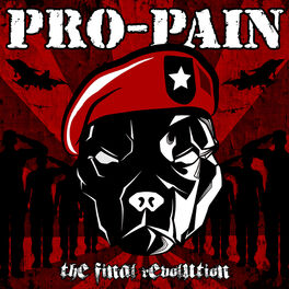 Album cover of The Final Revolution