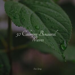 Album cover of 50 Calming Binaural Waves