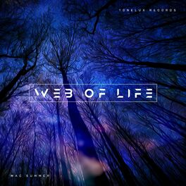 Album cover of Web Of Life