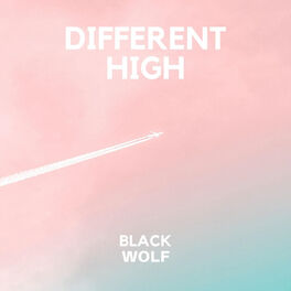 Album cover of Different High