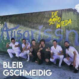 Album cover of Bleib gschmeidig (Ausgrissn)