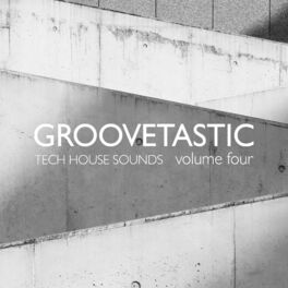 Album cover of Groovetastic, Vol. 4 - Tech House Sounds
