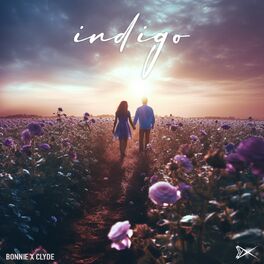 Album cover of Indigo