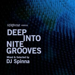 Album cover of Deep Into Nite Grooves