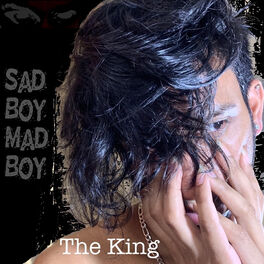 Album cover of Sad Boy Mad Boy