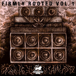 Album cover of Firmly Rooted Vol.1
