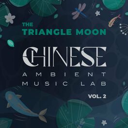 Album cover of Chinese Ambient Music Lab, Vol. 2