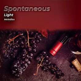 Album cover of zZz Spontaneous Light Melodies zZz
