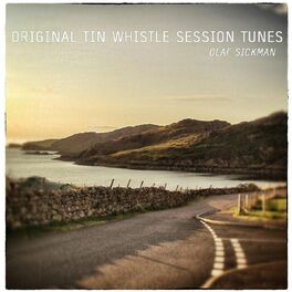 Album cover of Original Tin Whistle Session Tunes