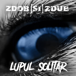 Album cover of Lupul Solitar