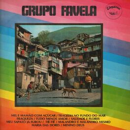 Album cover of Grupo Favela