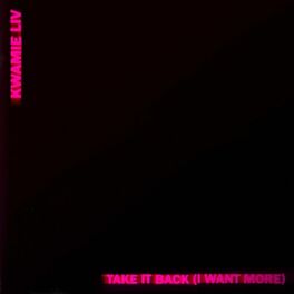 Album cover of Take It Back (I Want More)