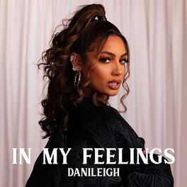 Album cover of In My Feelings