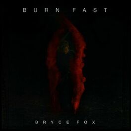 Album cover of Burn Fast