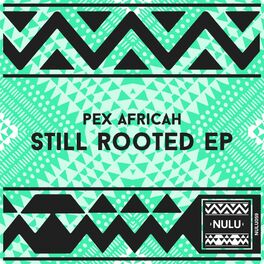 Album cover of Still Rooted