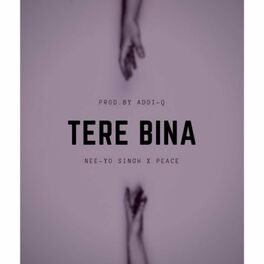 Album cover of Tere bina (feat. Peace)