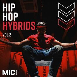 Album cover of Hip Hop Hybrids Vol. 2