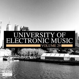 Album cover of University of Electronic Music, Vol. 29