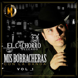 Album cover of Mis Borracheras Con la Banda, Vol. 1