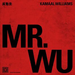 Album cover of Mr. Wu