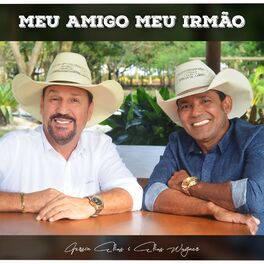 Album cover of Meu Amigo Meu Irmão