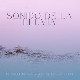 Album cover of Sonido De La Lluvia: El Ruido De Las Lágrimas De Las Nubes Vol. 1