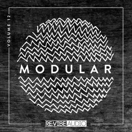 Album cover of Modular, Vol. 12