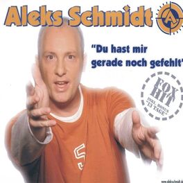 Album cover of Du hast mir gerade noch gefehlt