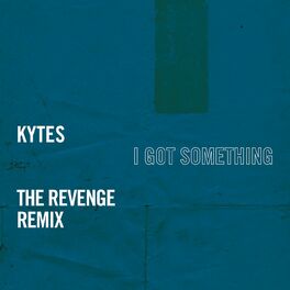 Album cover of I Got Something (The Revenge Remix)
