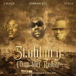 Album cover of Stubborn (Omo Lile) (Remix)