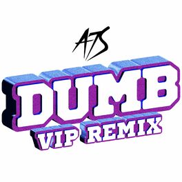 Album cover of Dumb (VIP Remix)