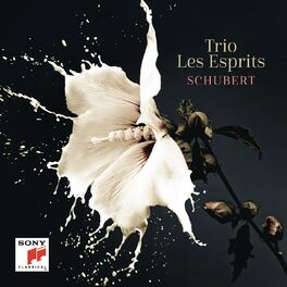 Album cover of Schubert