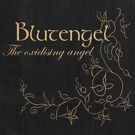 Album cover of The Oxidising Angel