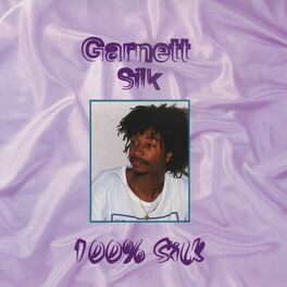 Album cover of 100 Silk