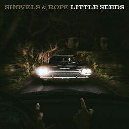 Album cover of Little Seeds (Deluxe Version)
