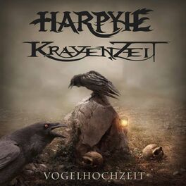 Album cover of Vogelhochzeit