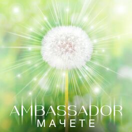 Album cover of AMBASSADOR