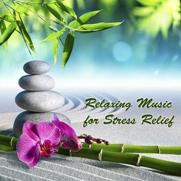 Album cover of Relaxing Music for Stress Relief