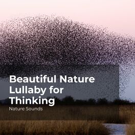 Album cover of Beautiful Nature Lullaby for Thinking