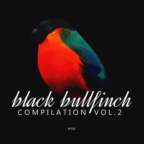 VA - Black Bullfinch Compilation, Vol. 2 [BF369]
