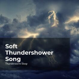 Album cover of Soft Thundershower Song