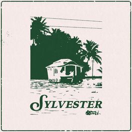 Album cover of Sylvester